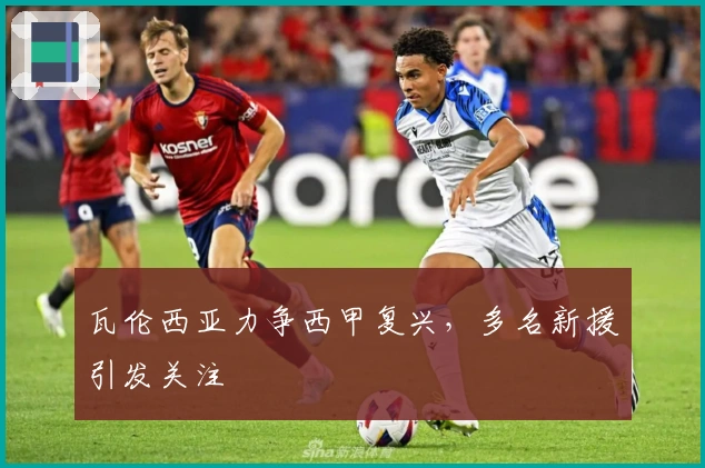 瓦伦西亚力争西甲复兴，多名新援引发关注