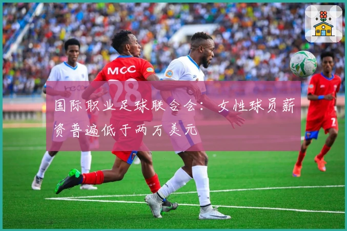 国际职业足球联合会：女性球员薪资普遍低于两万美元